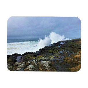 Boiler Bay Staat Wayside, Depoe Bay, Oregon Magnet