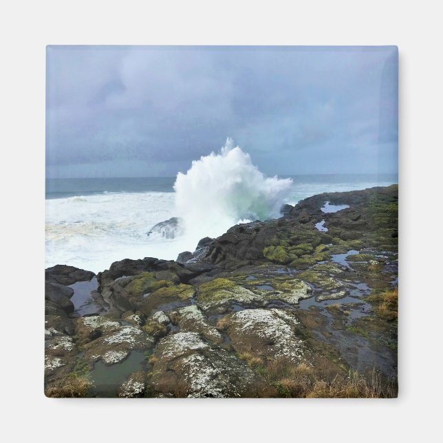Boiler Bay Staat Wayside, Depoe Bay, Oregon Magnet (Vorne)