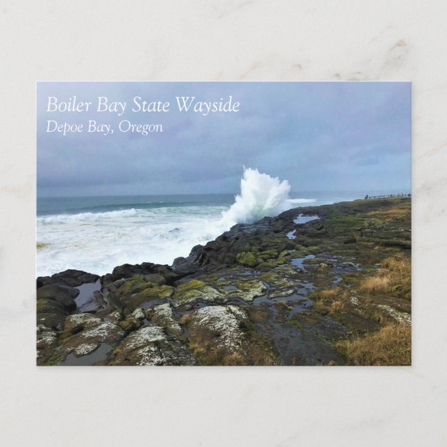 Boiler Bay Staat Wayside, Depoe Bay, Oregon Postca Postkarte (Vorderseite)