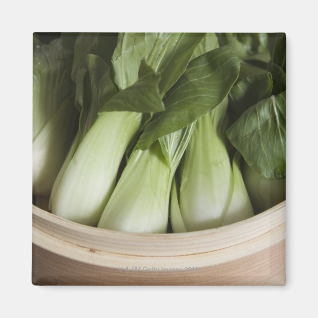 Bok Choy Magnet (Vorne)