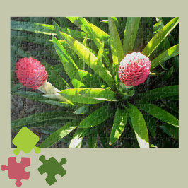 Bok Gardens Florida Pink Tropical Bromeliad Blume Puzzle