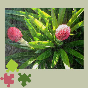 Bok Gardens Florida Pink Tropical Bromeliad Blume Puzzle