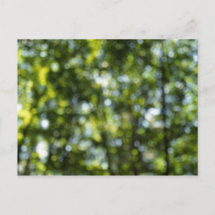 Bokeh im Frühjahr Postkarte