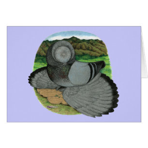 Bokhara Trumpeter: Blau