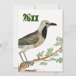 Bokmakierie | Bird Animation Jigsaw Oma Einladung