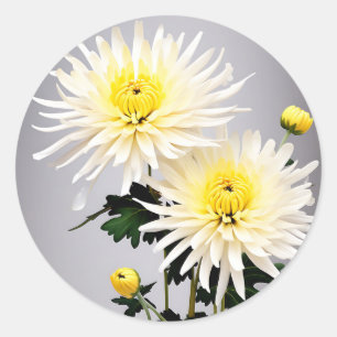 Bold Chrysanthemum Abstrakt Runder Aufkleber