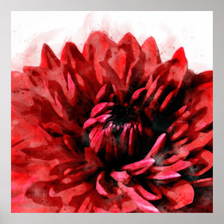 Bold Dahlia Watercolor Crimson Poster