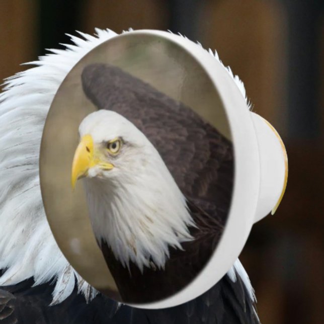 Bold Eagle Ceramic Drawer Knob – Strength Keramikknauf (Von Creator hochgeladen)