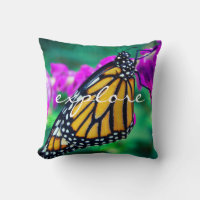 Bold Orange Monarch Butterfly Foto Exploration Scr