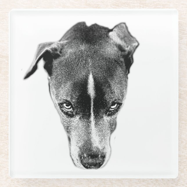 Bold Pitbull Mix Blick Moderne Kunst Untersetzer (Vorderseite)