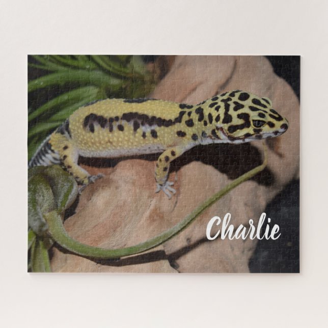 Bold Yellow Leopard Gecko Puzzle (Horizontal)