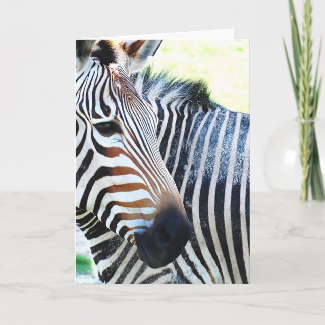 Bold Zebra Grußkarte Karte (Vorderseite)