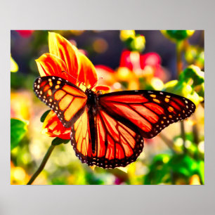 Bolder Butterfly Poster