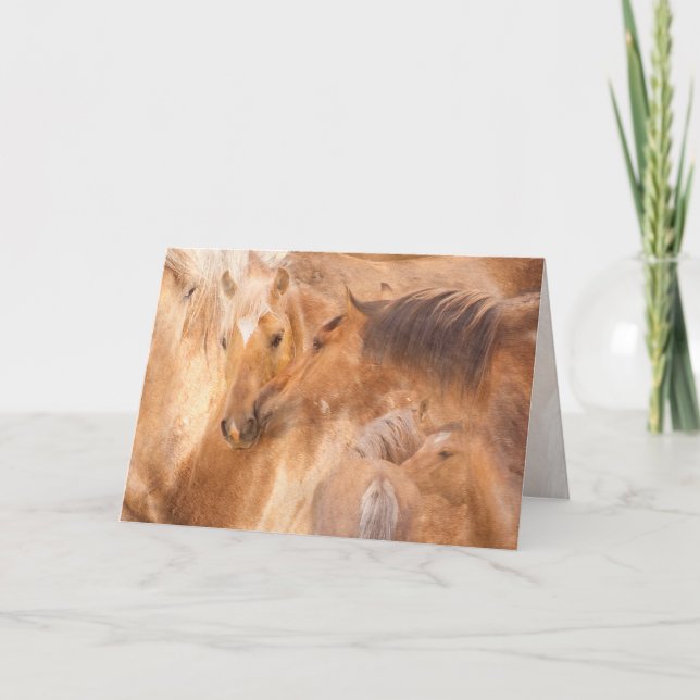 Bolders steiler Gruß Karte (Vorderseite)