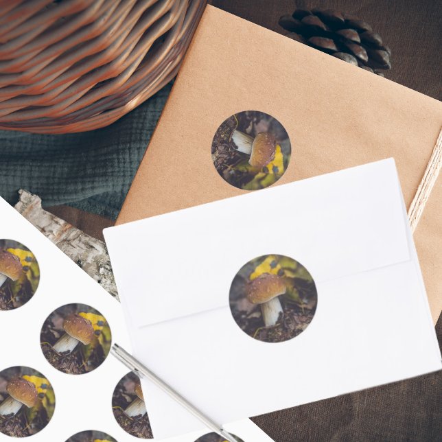 Boletscher mit gelben Blätter Runder Aufkleber (Von Creator hochgeladen)