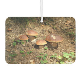 boletus autolufterfrischer