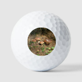 boletus golfball