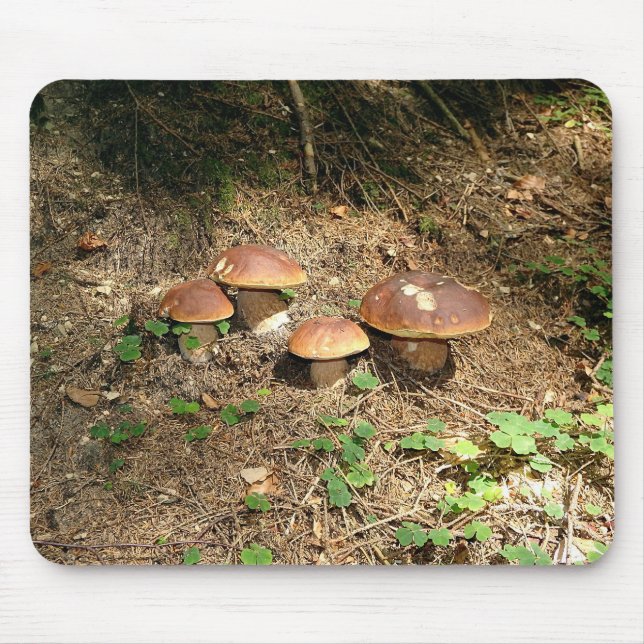 boletus mousepad (Vorne)