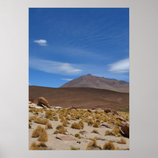 Bolivian Altiplano Wüste Landschaft Poster