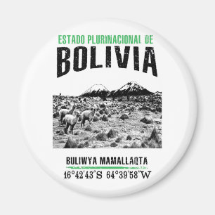Bolivien Magnet