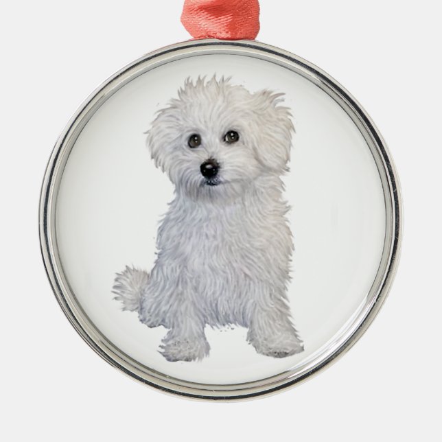 Bolognese Puppy Silbernes Ornament (Vorne)