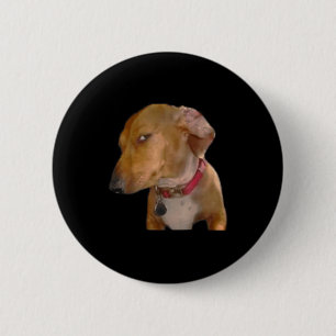 Bombastischer Seitenblick Lustiger Hund Button