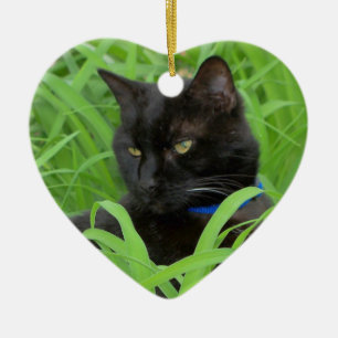 Bombay Black Cat Geburtstagsornament Keramikornament