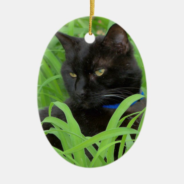 Bombay Black Cat Grußgeschenk Ornament (Vorne)
