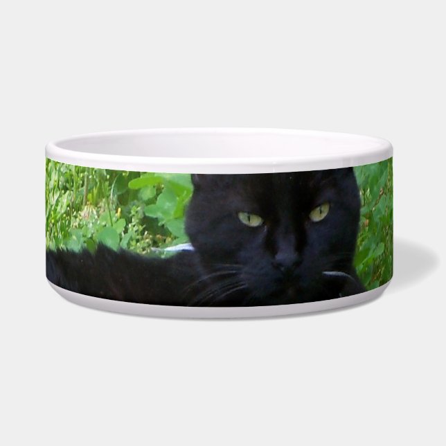 Bombay Cat Lying in Closed Food Bowl Napf (Vorderseite)