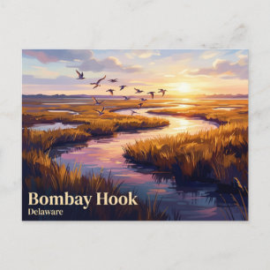Bombay Hook National Wildlife Refuge USA Postkarte