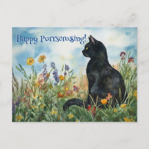 Bombay Postcross - Postkarte