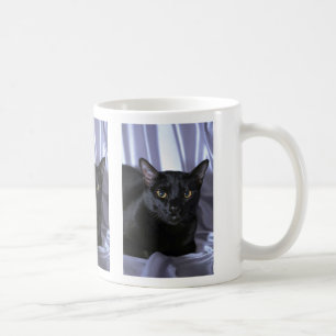 Bombay Tasse