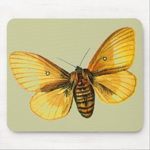 Bombyx quercus weiblich mousepad