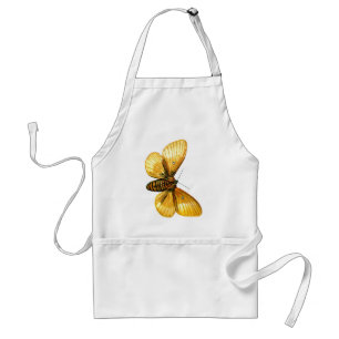 Bombyx quercus weiblich schürze