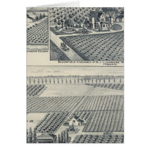 Bonacourt Ranch, Washington Colony, Kalifornien