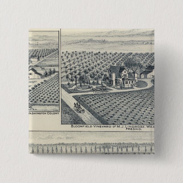 Bonacourt Ranch, Washington Colony, Kalifornien Button (Vorderseite)