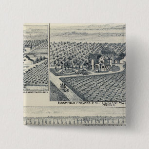 Bonacourt Ranch, Washington Colony, Kalifornien Button