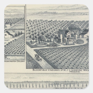 Bonacourt Ranch, Washington-Kolonie, Kalifornien Quadratischer Aufkleber