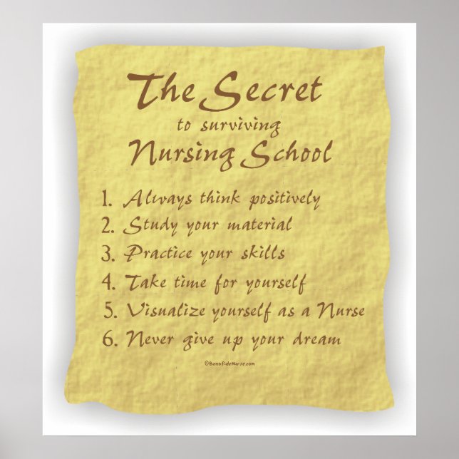 BonafideNurse_-_Secret_to_Surviving_Nursing_School Poster (Vorne)