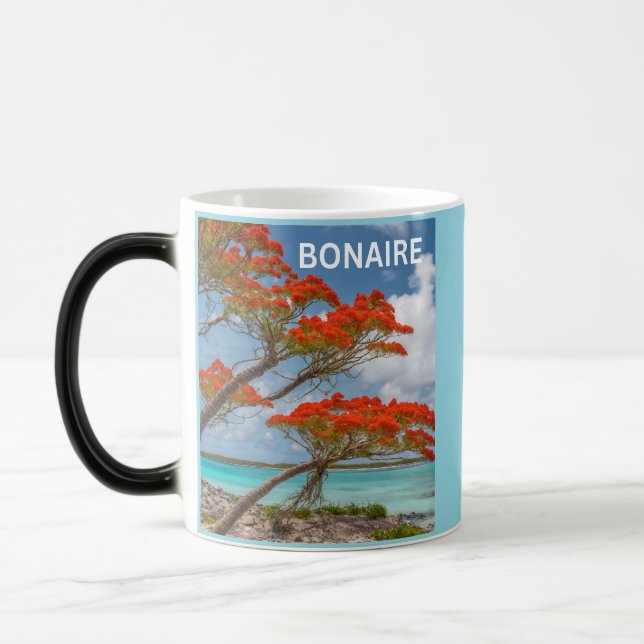 Bonaire bon bini verwandlungstasse (Links)