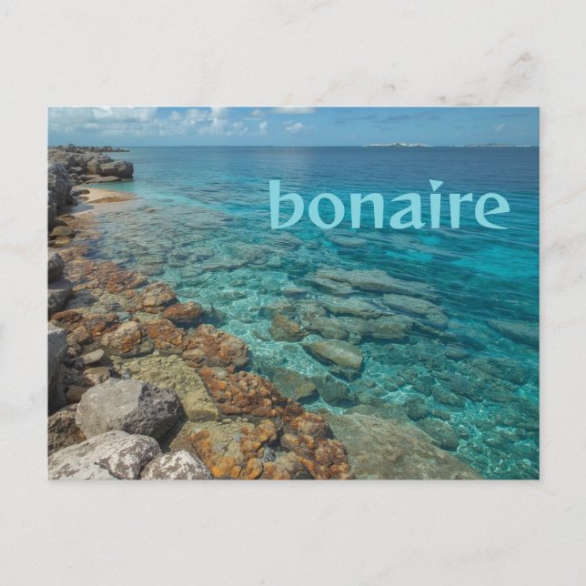 Bonaire Brise Postkarte (Vorderseite)