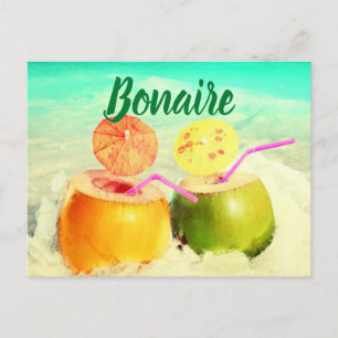 Bonaire coconuts postkarte