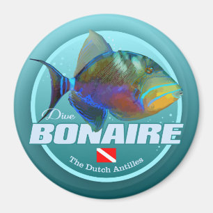 Bonaire (DD2) Magnet