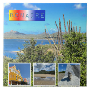 Bonaire Foto Collage Fliese