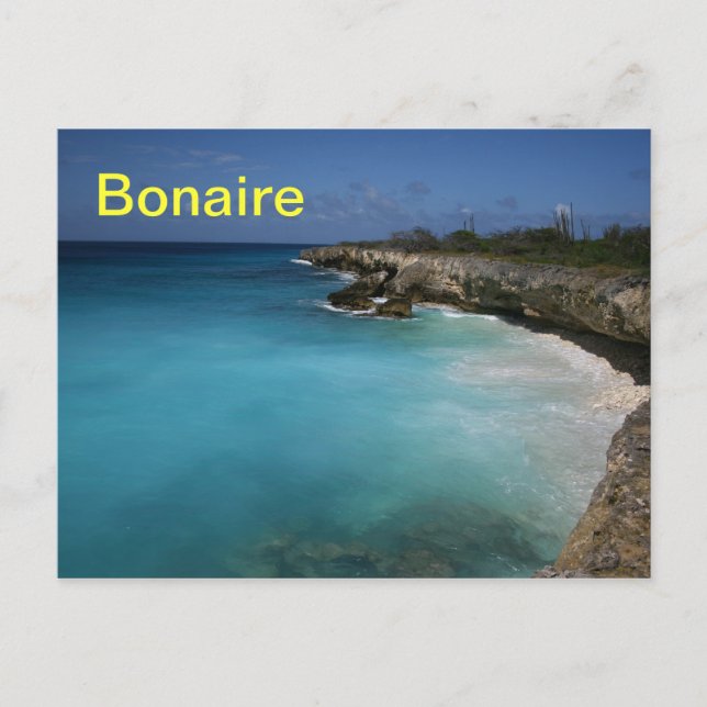 Bonaire Postkarte (Vorderseite)