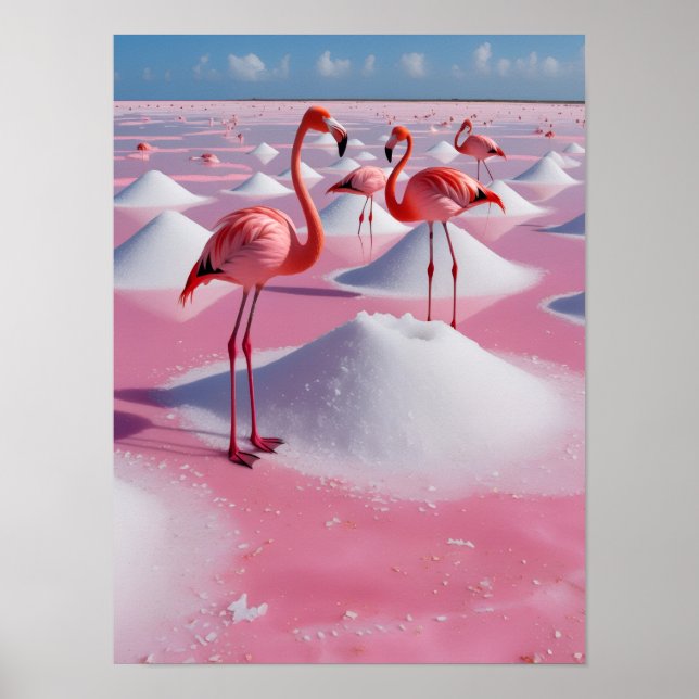 Bonaire Rosa Poster (Vorne)