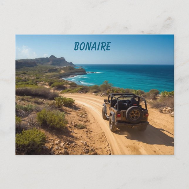 Bonaire Slagbaai-Park Postkarte (Vorderseite)