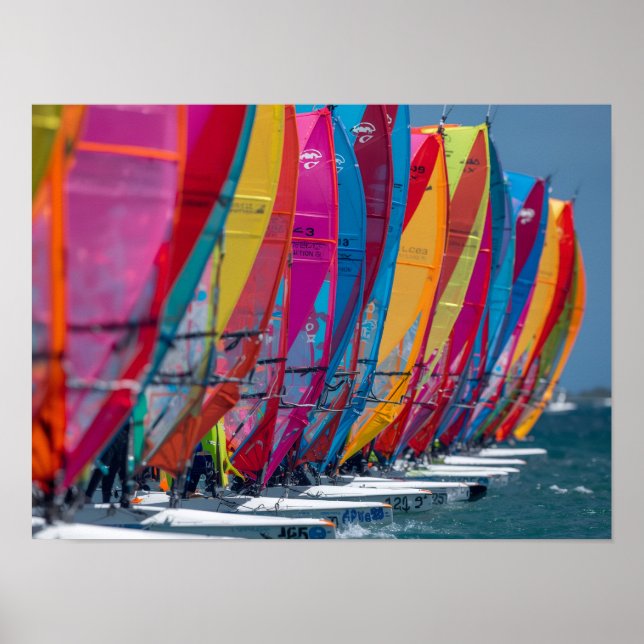 Bonaire-Windsurfer-Plakat Poster (Vorne)