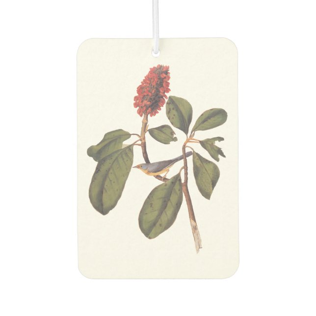 Bonaparte Flycatcher Canada Warbler Audubon Bird Autolufterfrischer (Vorderseite)