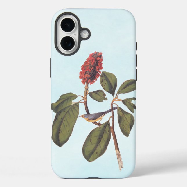 Bonaparte Flycatcher Canada Warbler Audubon Bird Case-Mate iPhone Hülle (Rückseite)